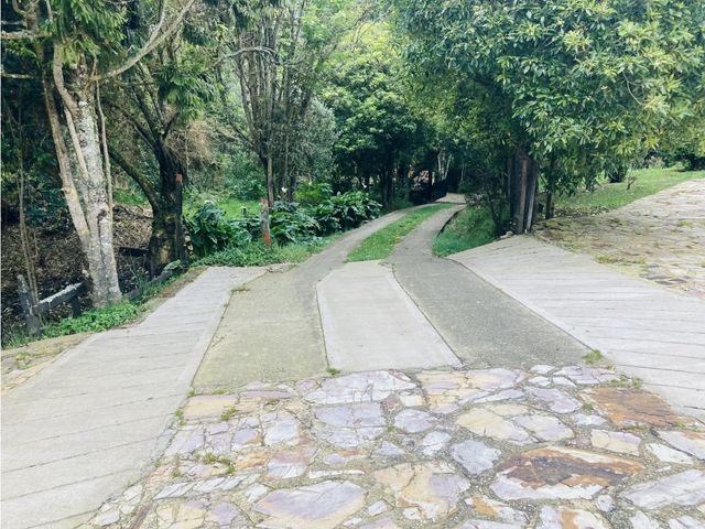 place photo 54