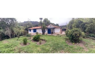 place photo 49