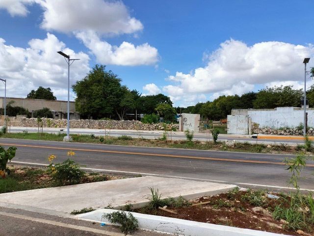 place photo 16