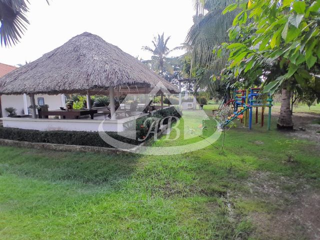 place photo 30