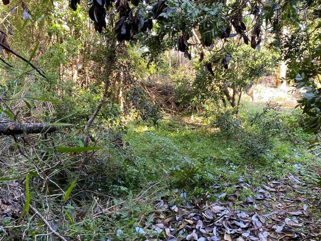 place photo 24