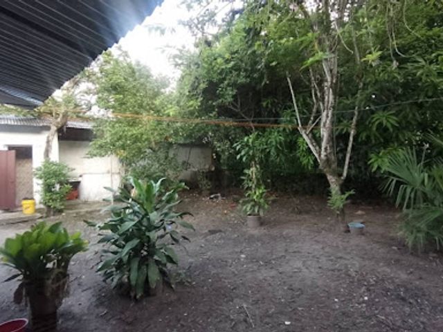 place photo 18