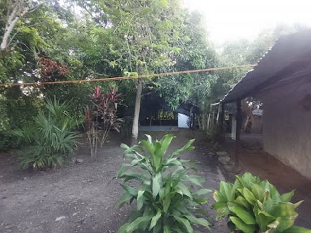 place photo 16