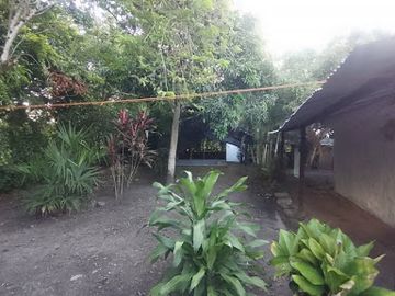 place photo 16