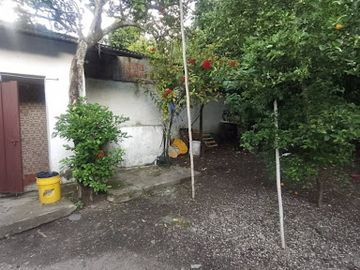 place photo 21
