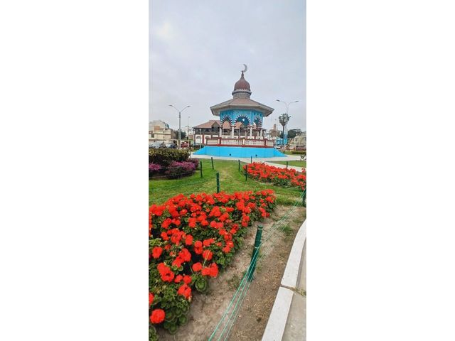 place photo 18