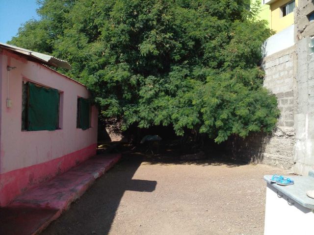place photo 16
