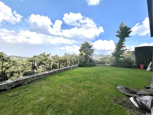 place photo 49