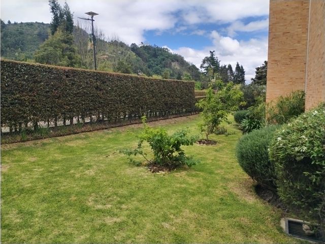 place photo 43