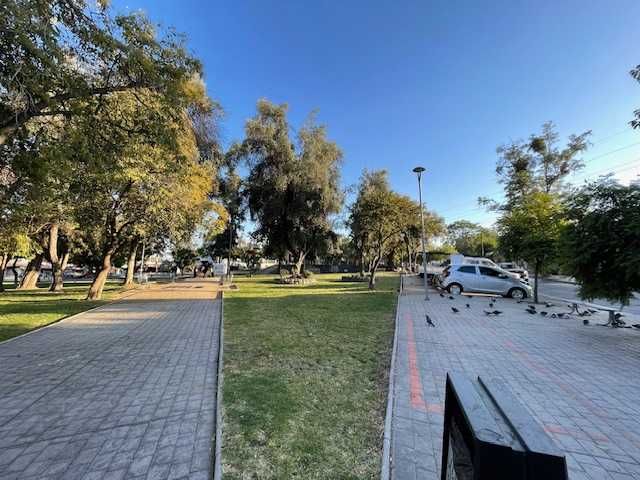 place photo 19