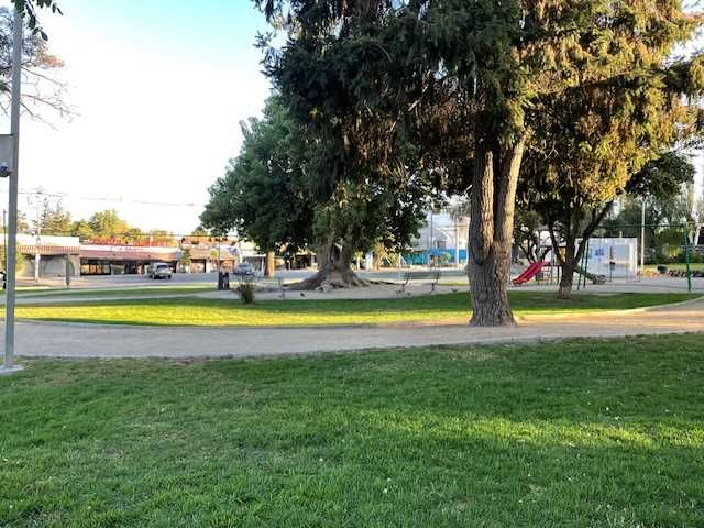 place photo 20