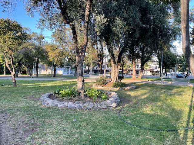 place photo 21