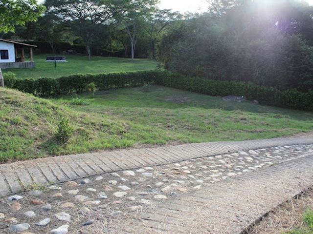 place photo 29