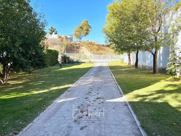 place photo 45