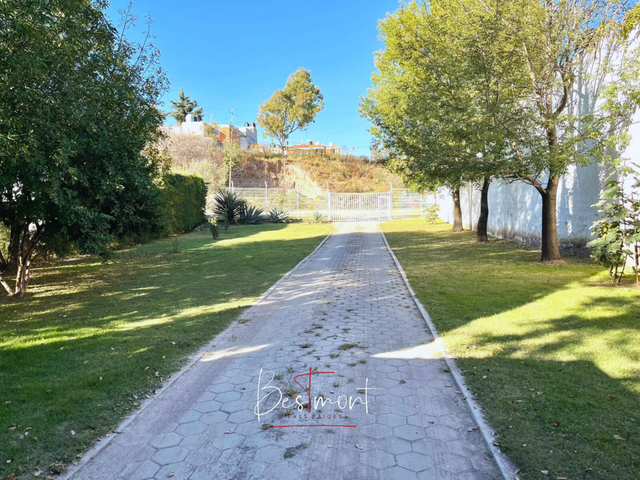 place photo 45