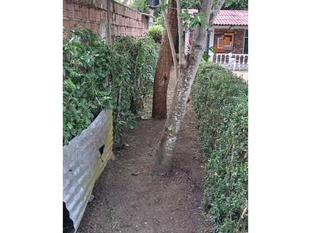 place photo 18
