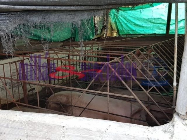 place photo 18