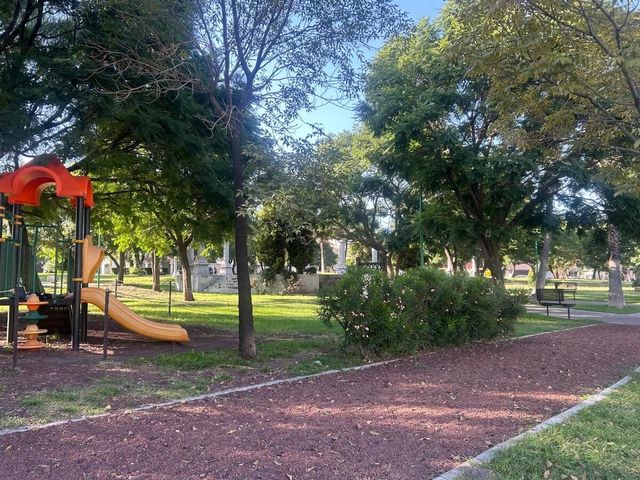 place photo 16