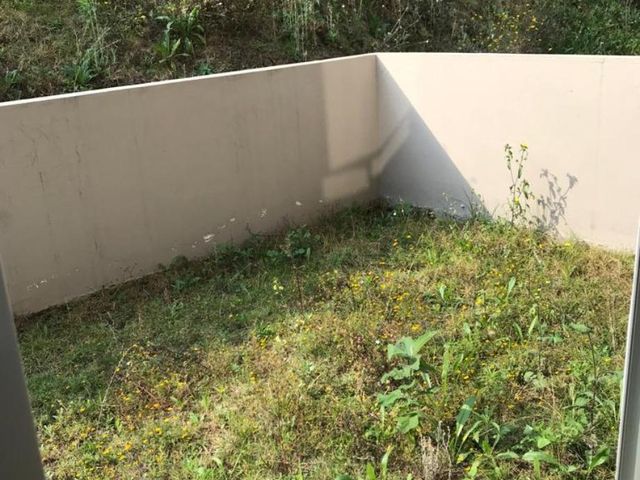 place photo 46