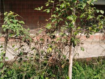 place photo 53