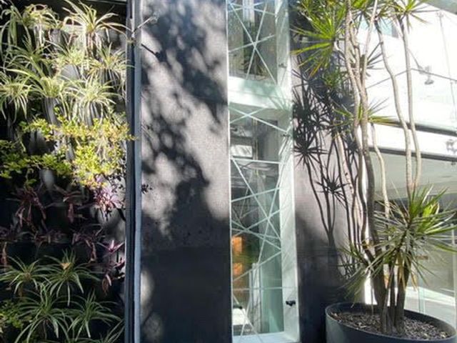 place photo 38