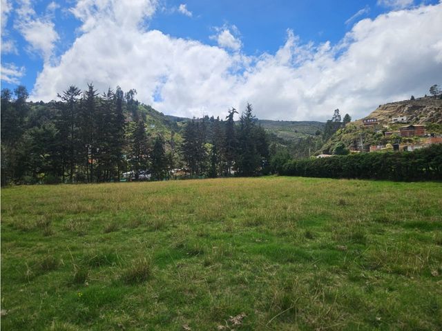 place photo 47