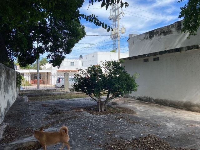 place photo 14