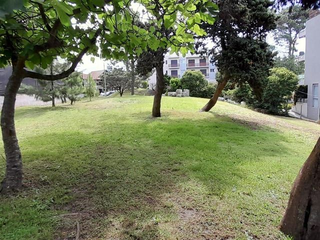place photo 36