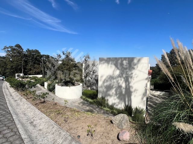 place photo 41