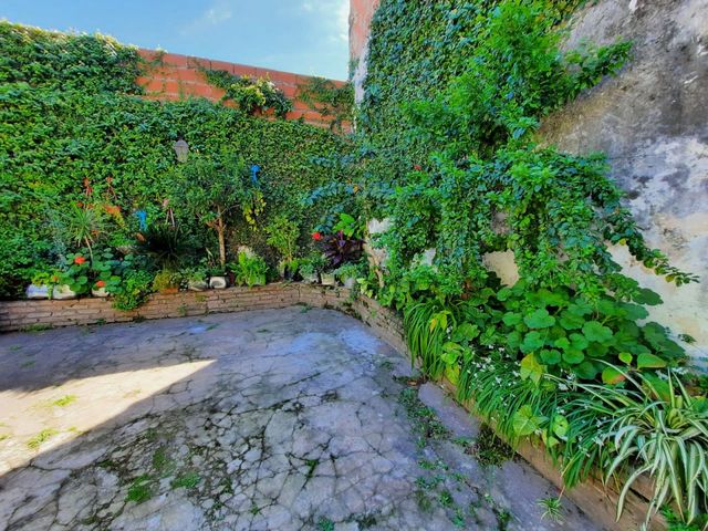 place photo 40