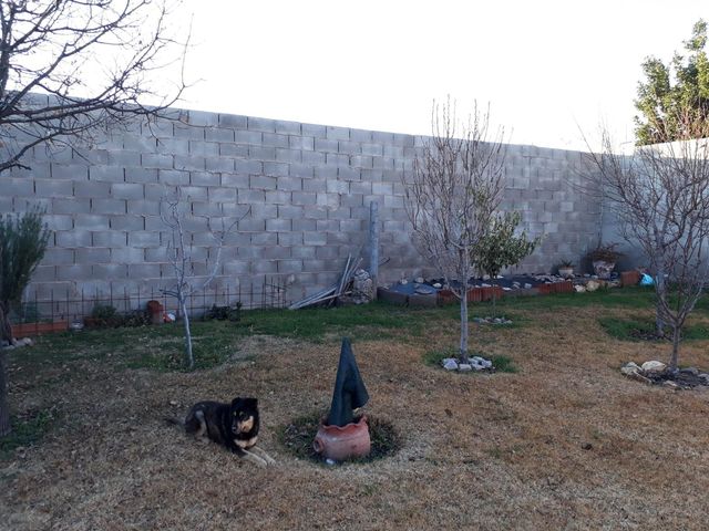 place photo 13