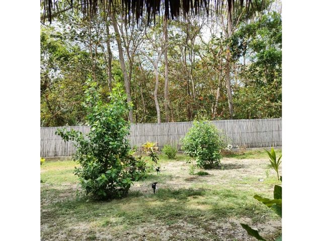 place photo 31