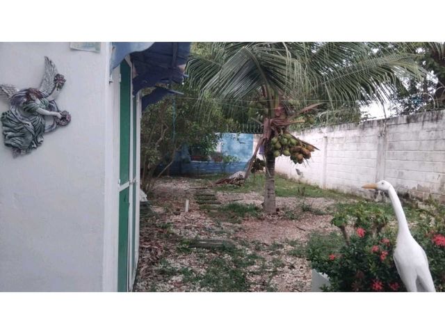 place photo 29