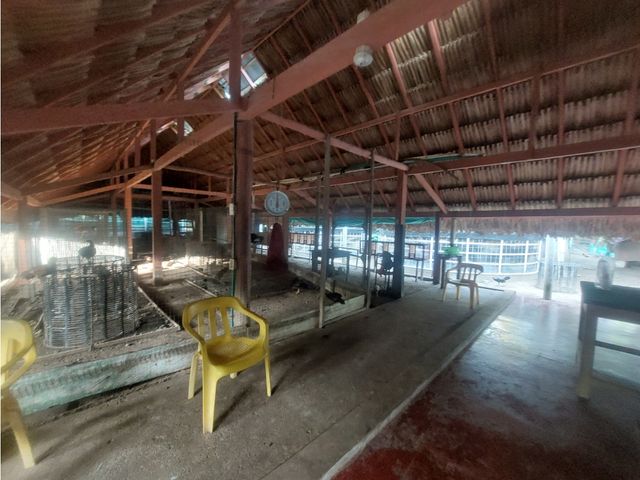 place photo 28