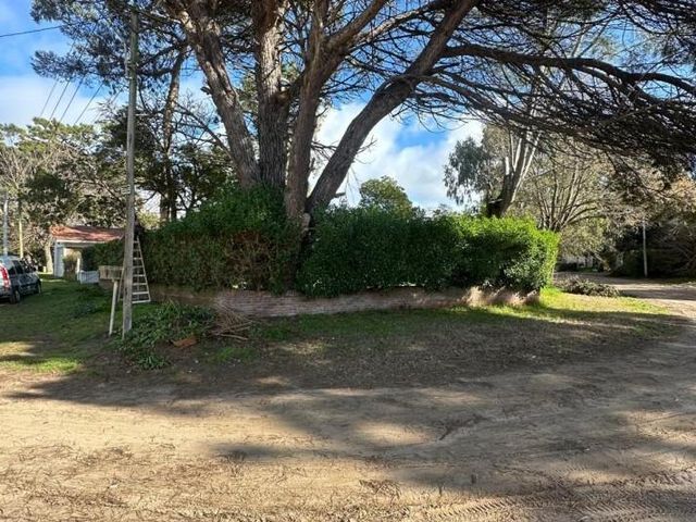 place photo 24