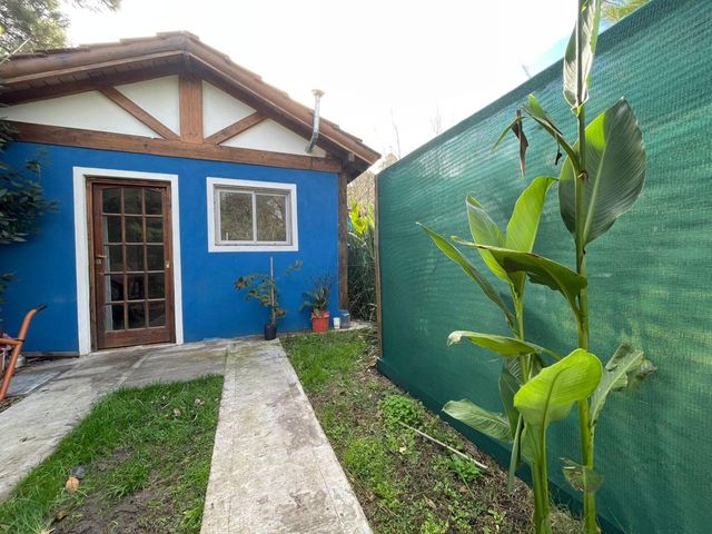 place photo 38