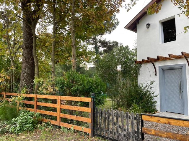 place photo 42