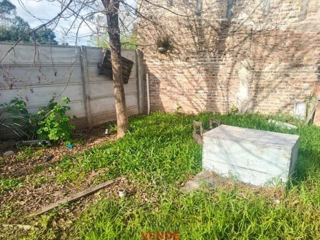 place photo 11