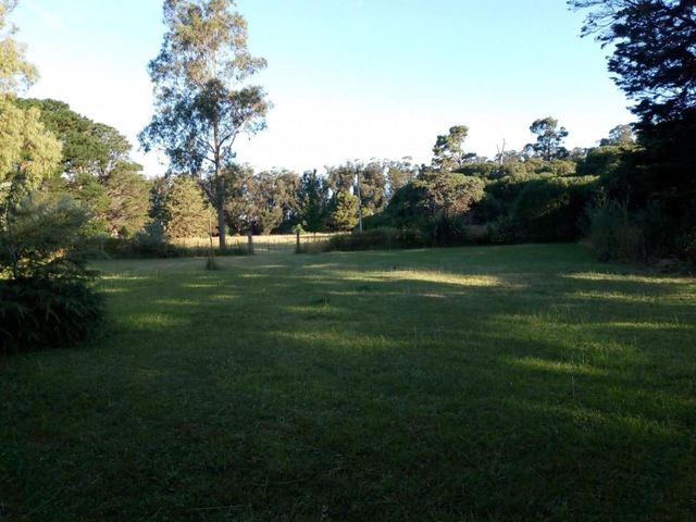 place photo 26