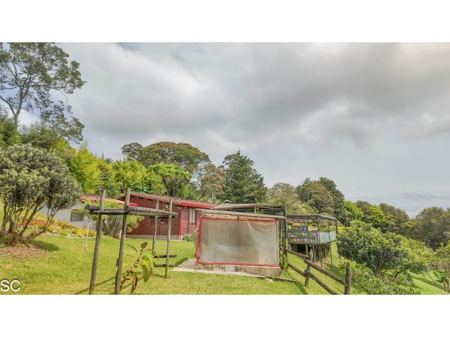 place photo 47