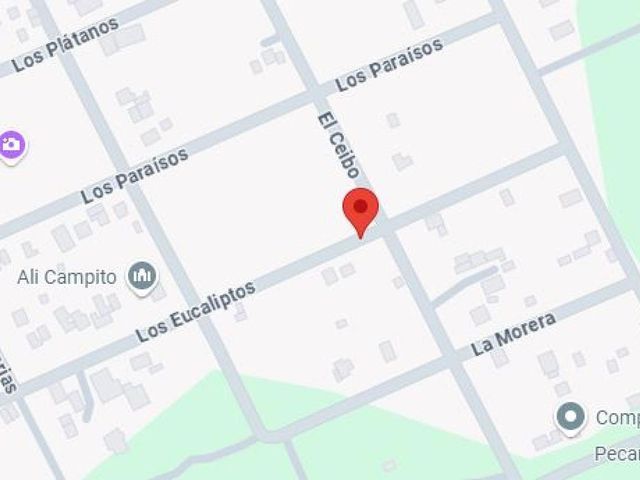 place photo 13