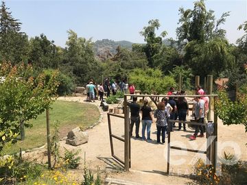 place photo 36