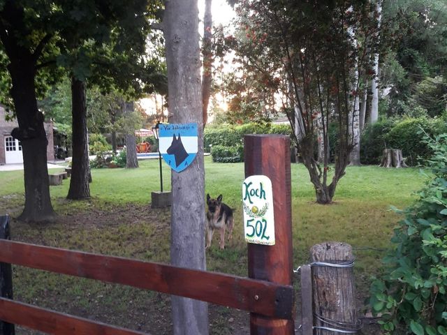 place photo 30