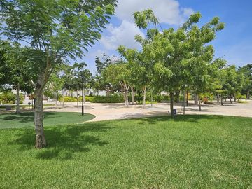 place photo 21
