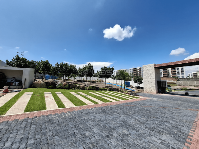 place photo 46