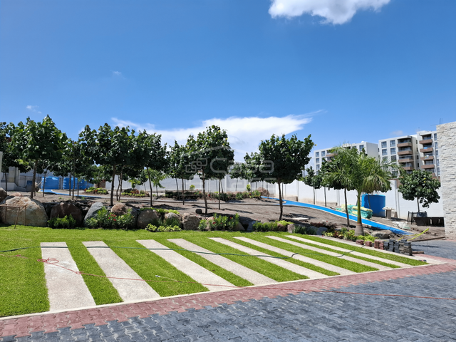 place photo 45