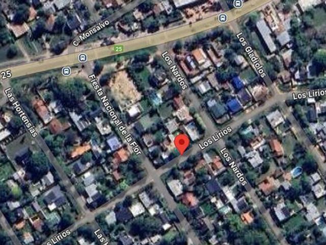place photo 11