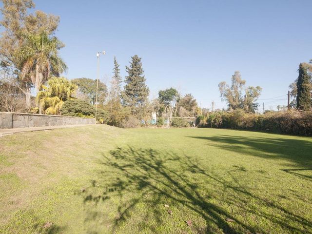 place photo 29