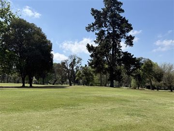 place photo 40