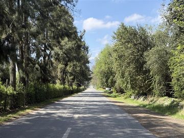 place photo 43
